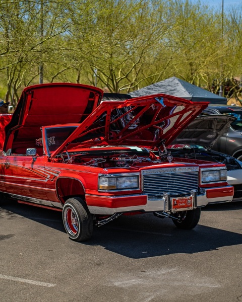 DSC4468
