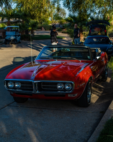 DSC4644