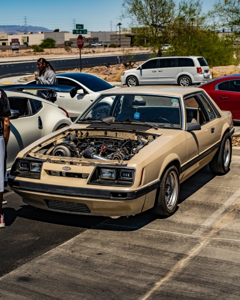 DSC4554