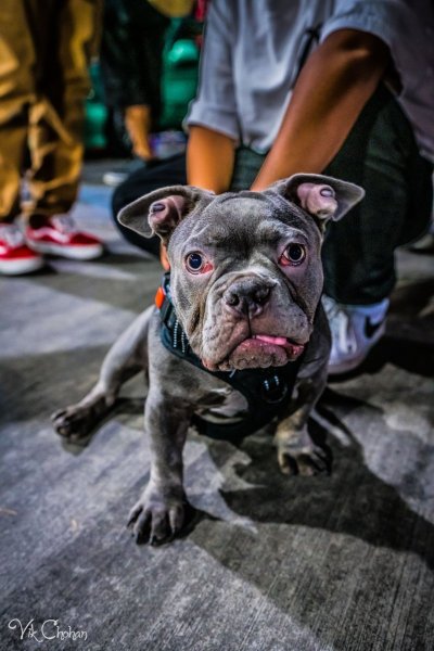 2022-09-28-Las-Vegas-Car-Meets-18-Bin-Arts-District-Car-Show-Photography-Vik-Chohan-Photography-Photo-Booth-Social-Media-VCP-310