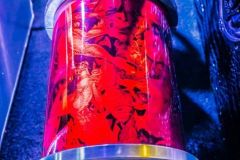 2022-08-24-18-Bin-Arts-District-Car-Showcase-Las-Vegas-Car-Meets-Photography-Aug-24th-Vik-Chohan-Photography-Photo-Booth-Social-Media-VCP-453